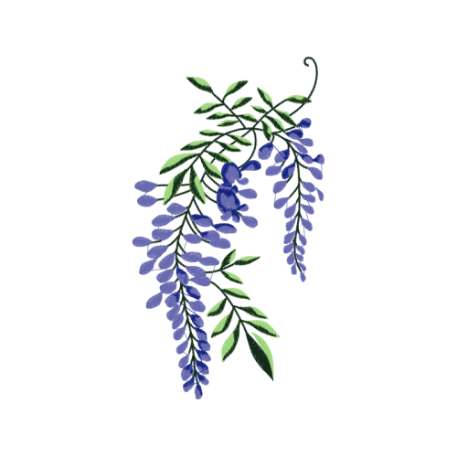 Twig M Other Twig M Other