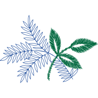 Twig M Other Twig M Other