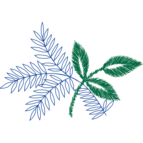 Twig M Other Twig M Other