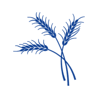 Twig M Other Twig M Other