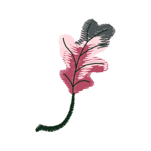 Twig M Other Twig M Other