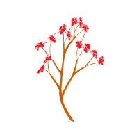 Twig M Other Twig M Other