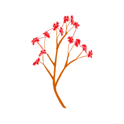 Twig M Other Twig M Other