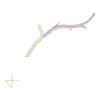 Twig M Other Twig M Other