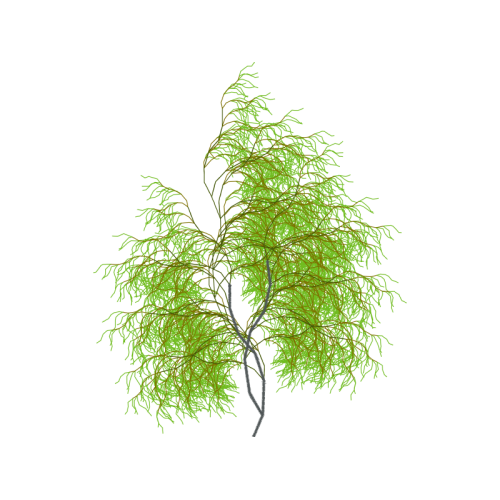 Twig Other Twig Other