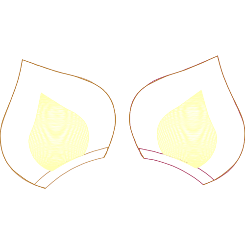 Underwear Other Underwear Other