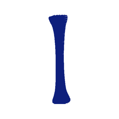 Vase Other Vase Other