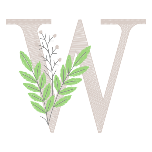 Vervain Other Vervain Other