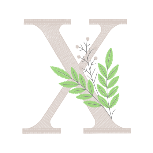 Vervain Other Vervain Other