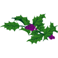 Vervain Other Vervain Other