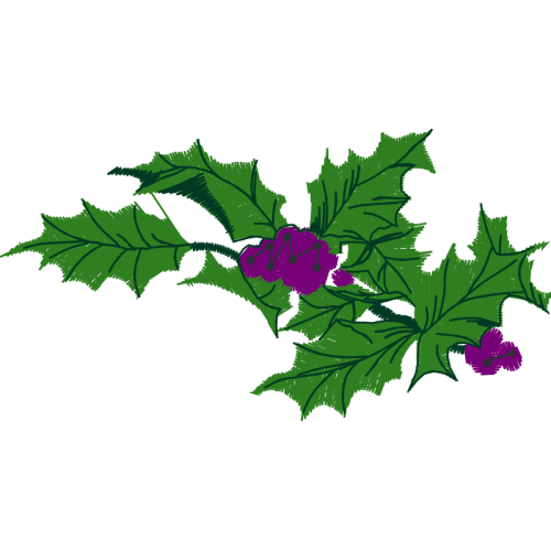 Vervain Other Vervain Other