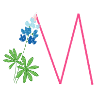 Vervain Other Vervain Other