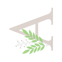 Vervain Other Vervain Other