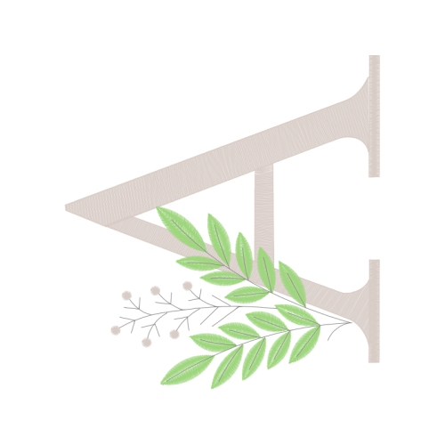 Vervain Other Vervain Other