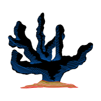 Visual Arts Other Visual Arts Other