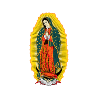 Visual Arts Other Visual Arts Other