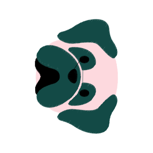 Visual Arts Other Visual Arts Other