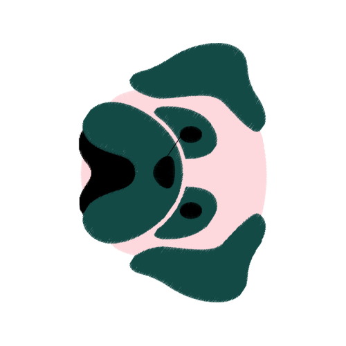 Visual Arts Other Visual Arts Other