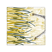 Visual Arts Other Visual Arts Other