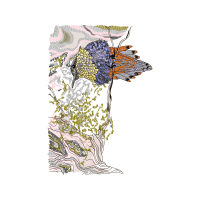 Visual Arts Other Visual Arts Other