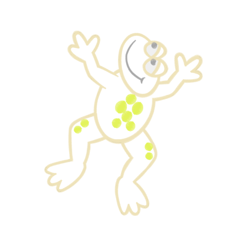 Visual Arts Other Visual Arts Other