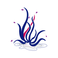 Visual Arts Other Visual Arts Other