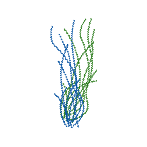 Visual Arts Other Visual Arts Other