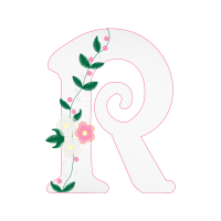 Visual Arts Other Visual Arts Other