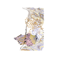 Visual Arts Other Visual Arts Other