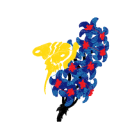 Visual Arts Other Visual Arts Other