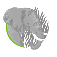 Visual Arts Other Visual Arts Other