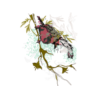 Visual Arts Other Visual Arts Other