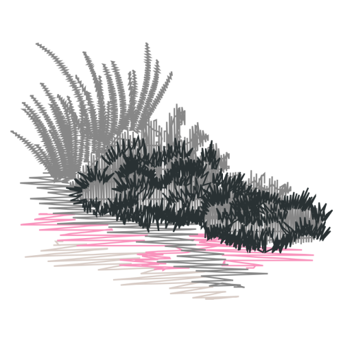 Visual Arts Other Visual Arts Other