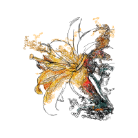 Visual Arts Other Visual Arts Other