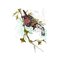 Visual Arts Other Visual Arts Other