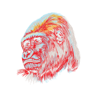 Visual Arts Other Visual Arts Other