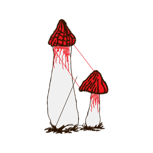 Visual Arts Other Visual Arts Other