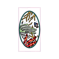 Visual Arts Other Visual Arts Other