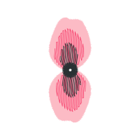 Visual Arts Other Visual Arts Other