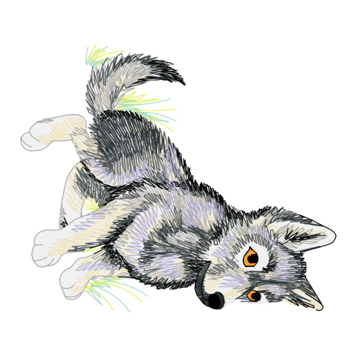 Viverrids Other Viverrids Other