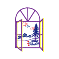 Volleyball Other Volleyball Other