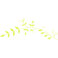 Wait A Minute Bush Other Wait A Minute Bush Other