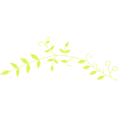 Wait A Minute Bush Other Wait A Minute Bush Other