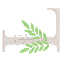 Wait A Minute Bush Other Wait A Minute Bush Other