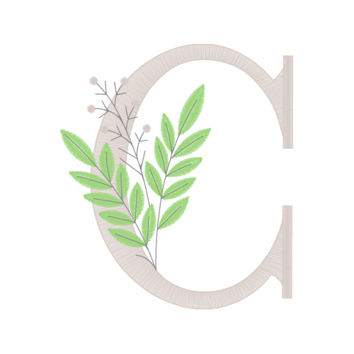 Wait A Minute Bush Other Wait A Minute Bush Other