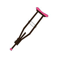 Walking Stick Other Walking Stick Other