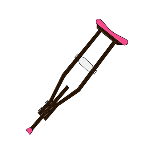 Walking Stick Other Walking Stick Other