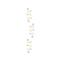 Wall Brown Other Wall Brown Other