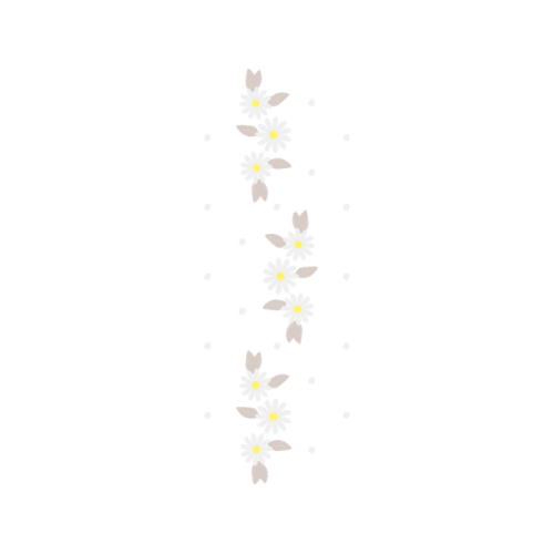 Wall Brown Other Wall Brown Other