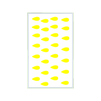 Wall Other Wall Other